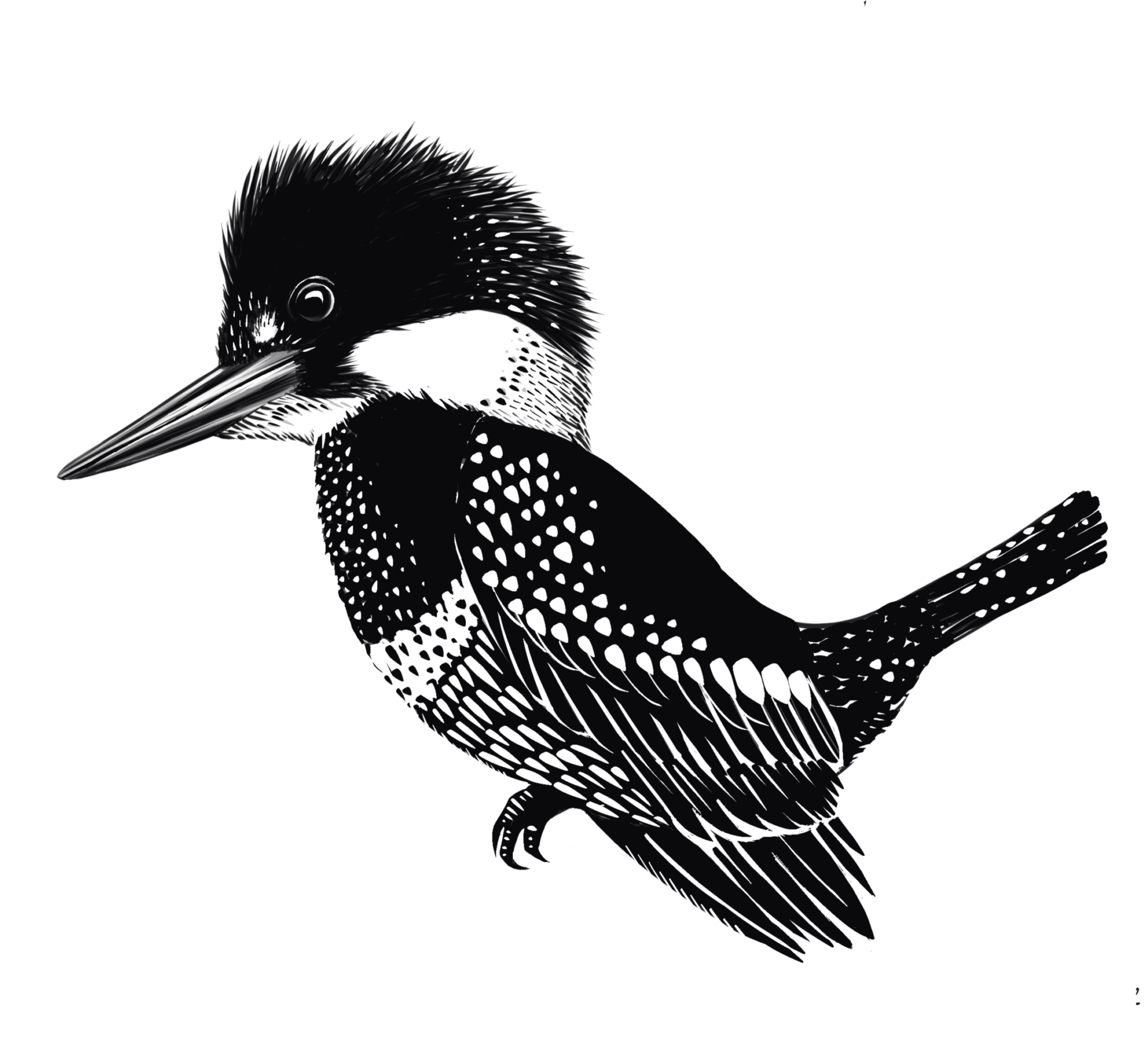 Destination Puyehue Discover Chile s Natural Beauty destination-puyehue-discover-chile-s-natural-beauty