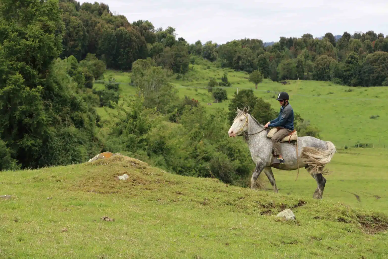 Cabalgata Puyehue