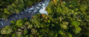 Vista aérea del río en Parque Nacional Puyehue, naturaleza en su máxima expresión